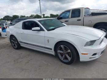  Salvage Ford Mustang