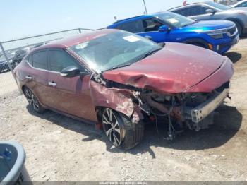  Salvage Nissan Maxima
