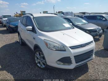  Salvage Ford Escape
