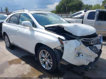  Salvage Lexus RX