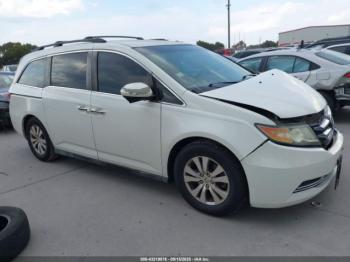  Salvage Honda Odyssey