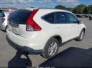 Honda CR-V Ex-l Image 12