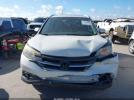 Honda CR-V Ex-l Image 4