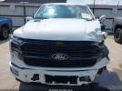Ford F-150 Platinum Image 13