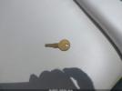 Scarab Other Image 8