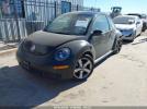 Volkswagen Beetle Image 2