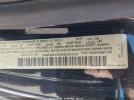 Volkswagen Beetle Image 12
