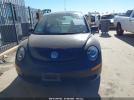 Volkswagen Beetle Image 10