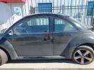 Volkswagen Beetle Image 13
