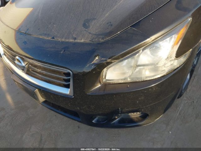 Nissan Maxima 3.5 Sv Image 5