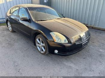  Salvage Nissan Maxima
