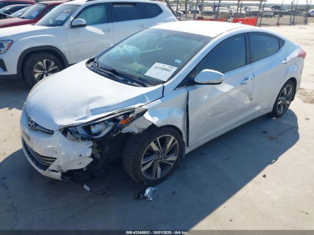 Hyundai ELANTRA Limited Image 5