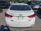 Hyundai ELANTRA Limited Image 15