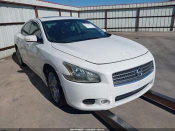  Salvage Nissan Maxima