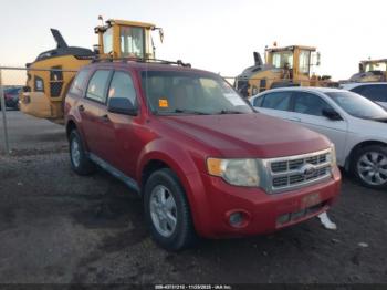  Salvage Ford Escape
