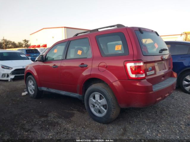 Ford Escape Xls Image 4