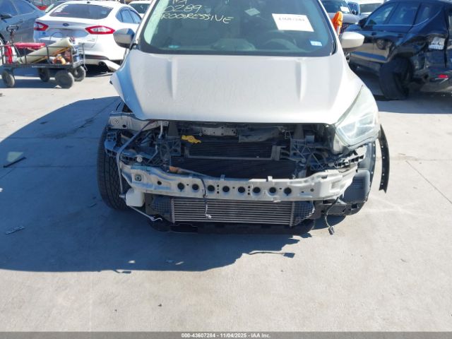 Ford Escape Se Image 7