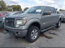 Ford F-150 Fx4 Image 14