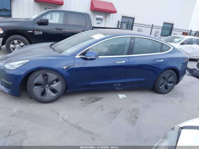Tesla Model 3 Image 9