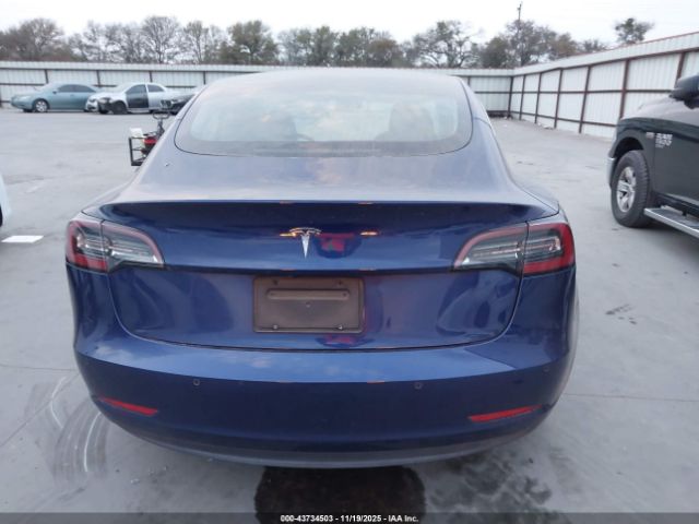 Tesla Model 3 Image 12