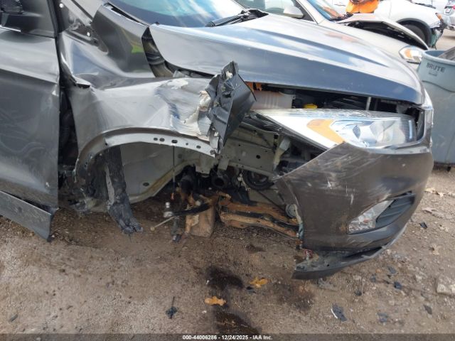 Ford Escape Titanium Image 4