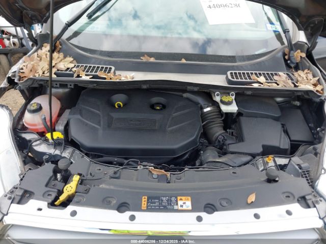 Ford Escape Titanium Image 7