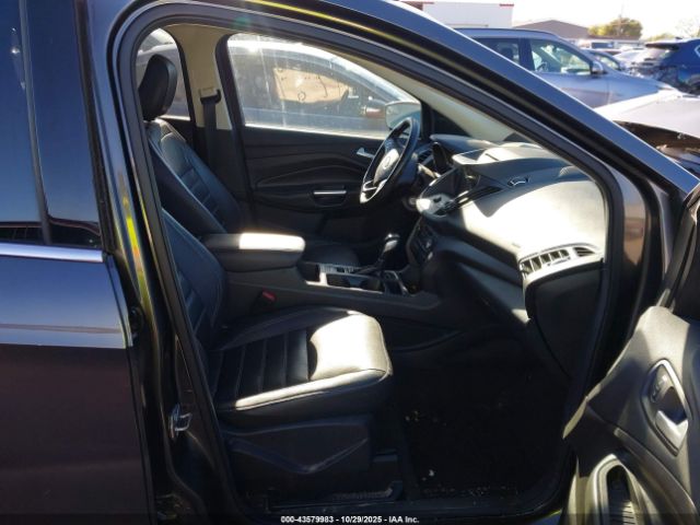 Ford Escape Sel Image 9