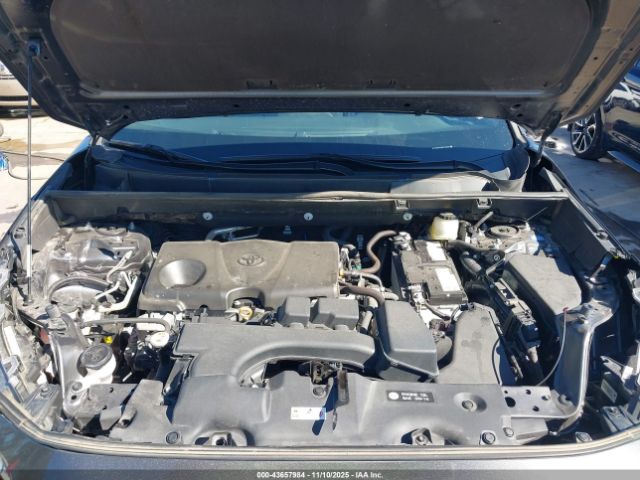 Toyota RAV4 Xle Image 6