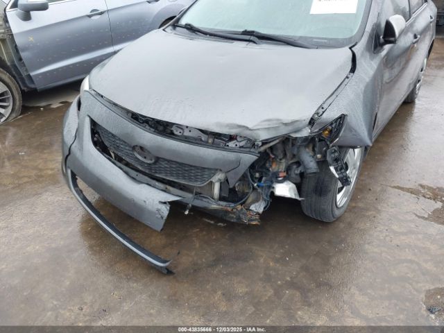 Toyota Corolla Le Image 4