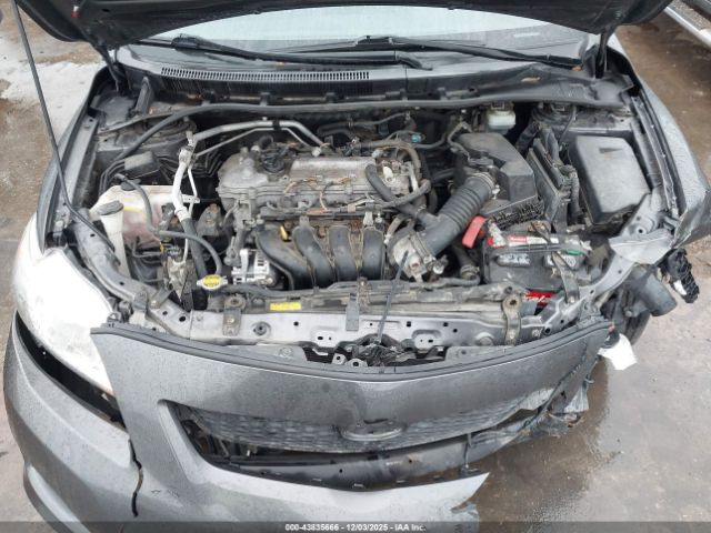 Toyota Corolla Le Image 6