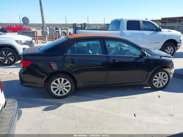 Toyota Corolla Le Image 10