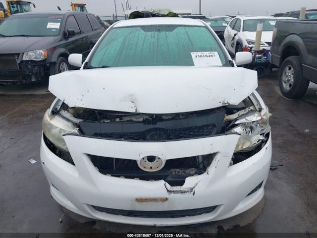 Toyota Corolla Le Image 10