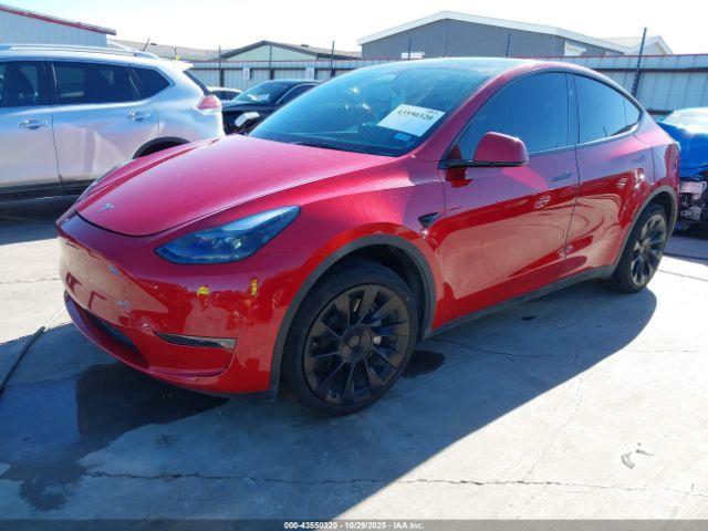 Tesla Model Y Image 14