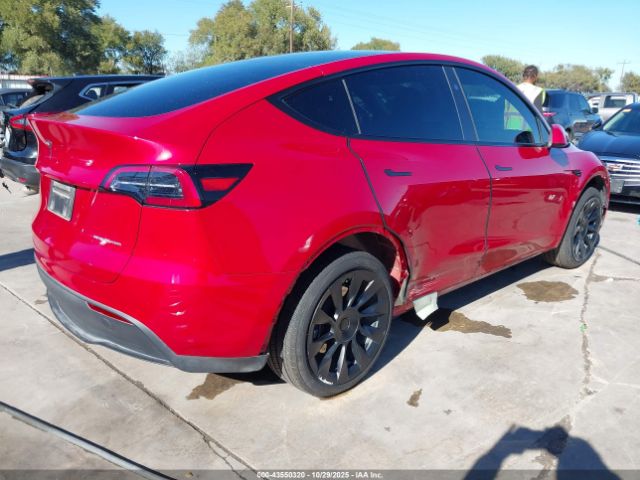 Tesla Model Y Image 19