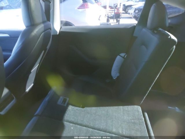 Tesla Model Y Image 16