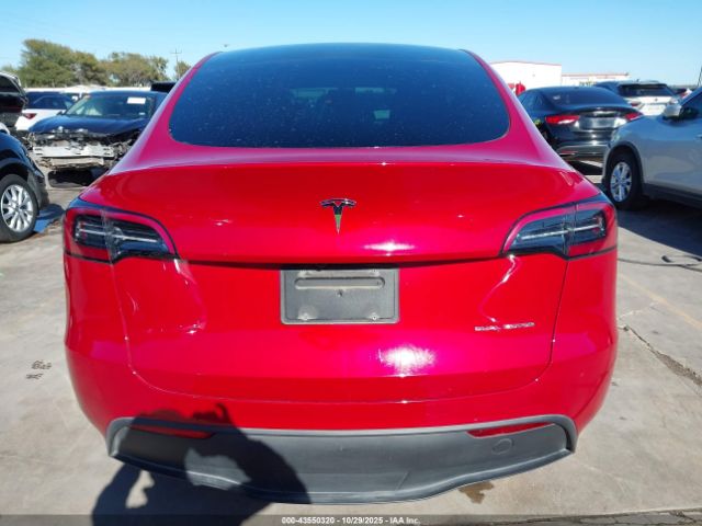 Tesla Model Y Image 6