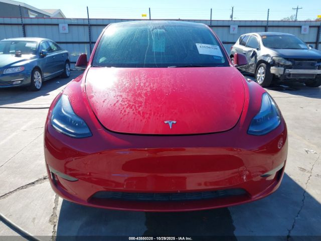 Tesla Model Y Image 5