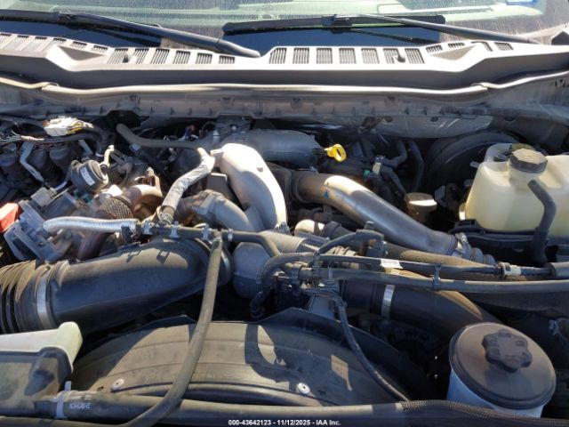 Ford F-250 Xl Image 12