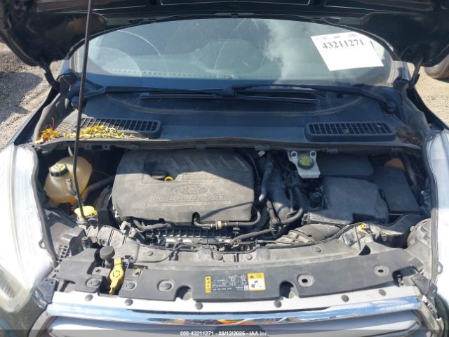 Ford Escape Sel Image 14