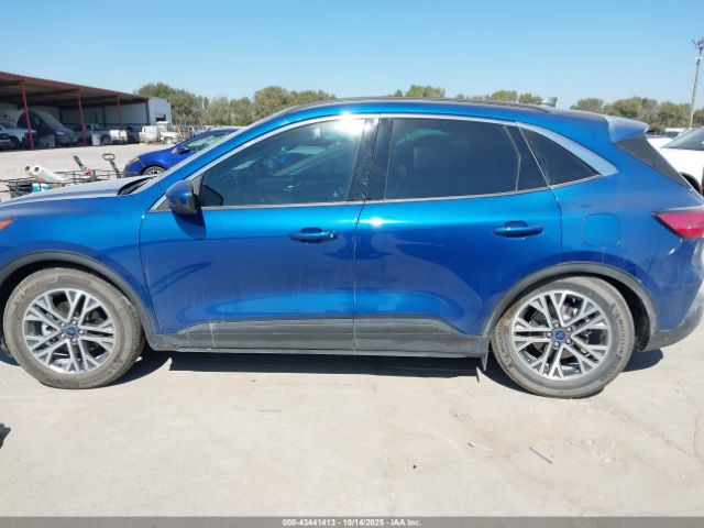 Ford Escape Sel Image 5