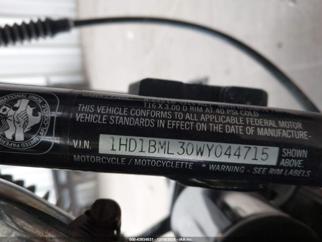 Harley-Davidson Flstf Image 9