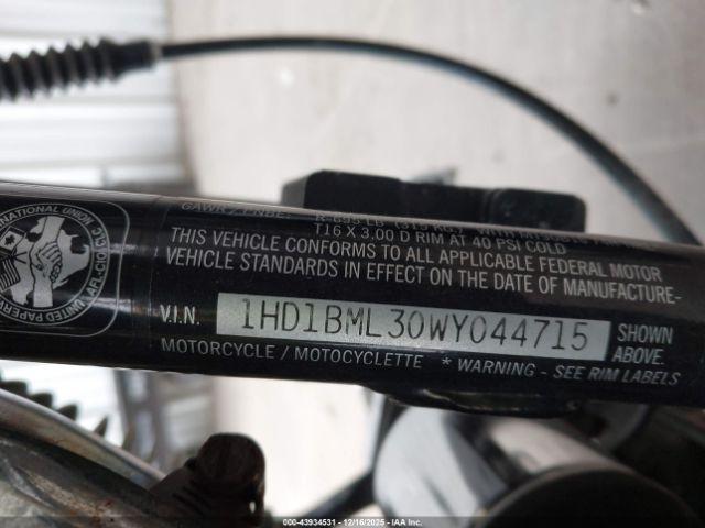 Harley-Davidson Flstf Image 9