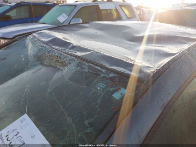 Honda Civic Lx Image 5