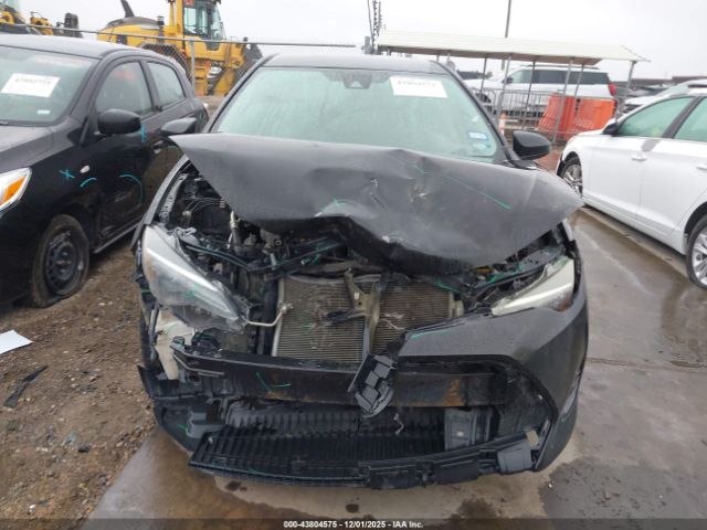 Toyota Corolla Le Image 14