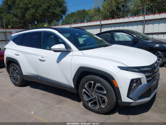 Hyundai TUCSON Limited Image 11