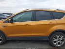 Ford Escape Titanium Image 19