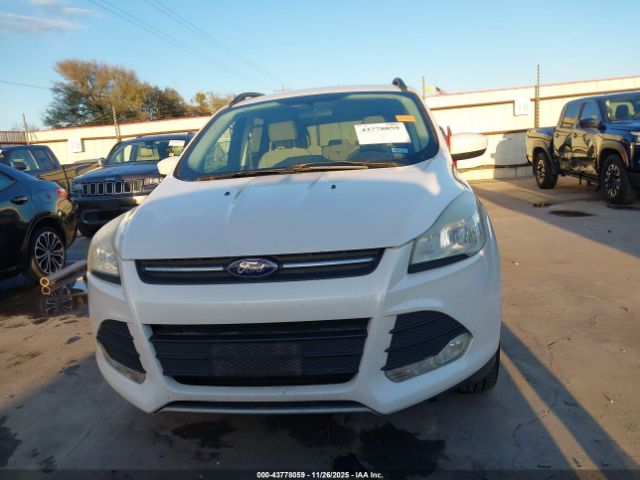 Ford Escape Se Image 10