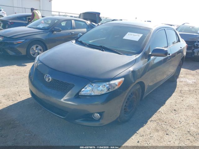 Toyota Corolla Le Image 3