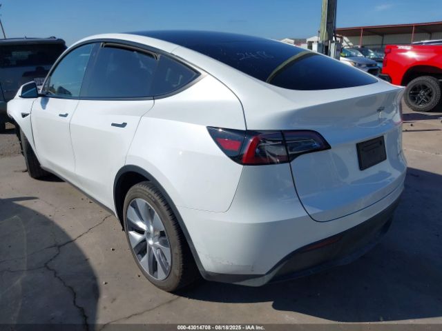 Tesla Model Y Image 3