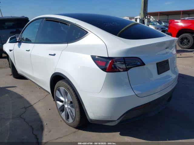 Tesla Model Y Image 3